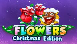 Flowers Christmas Edition