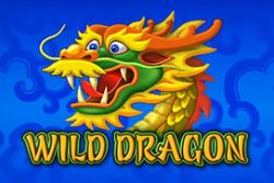 Wild Dragon